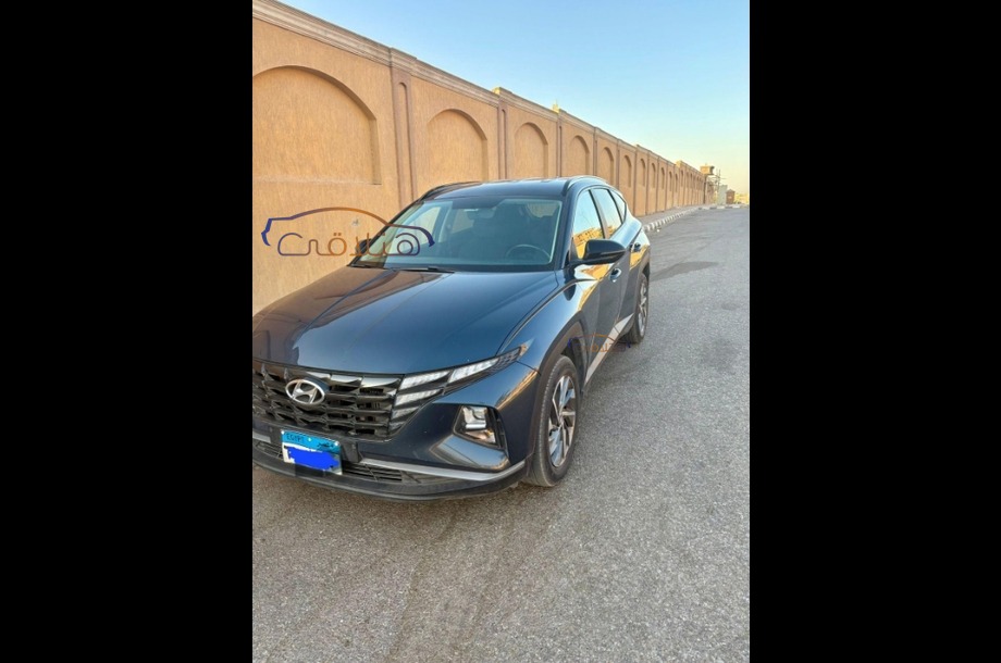 Tucson Hyundai Petroleum