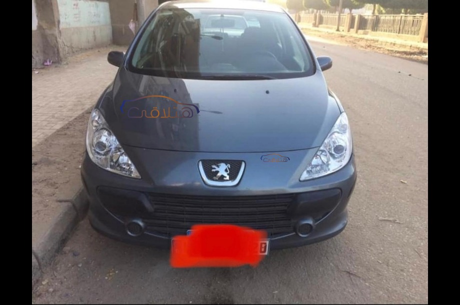 307 Peugeot رمادي