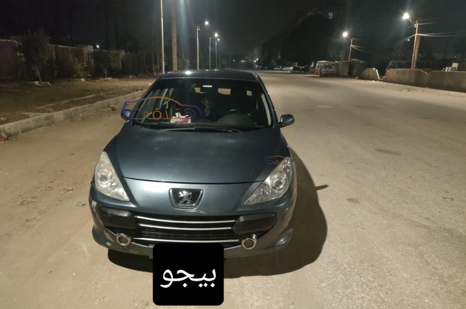 307 Peugeot رمادي