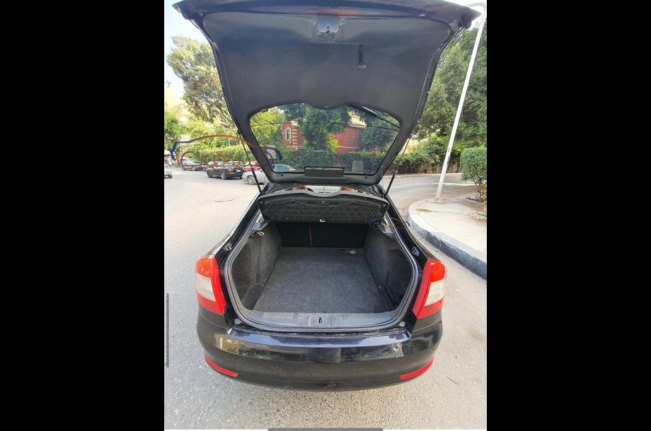 Fantasia Skoda Black