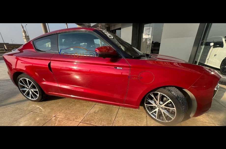 Other Zeekr احمر