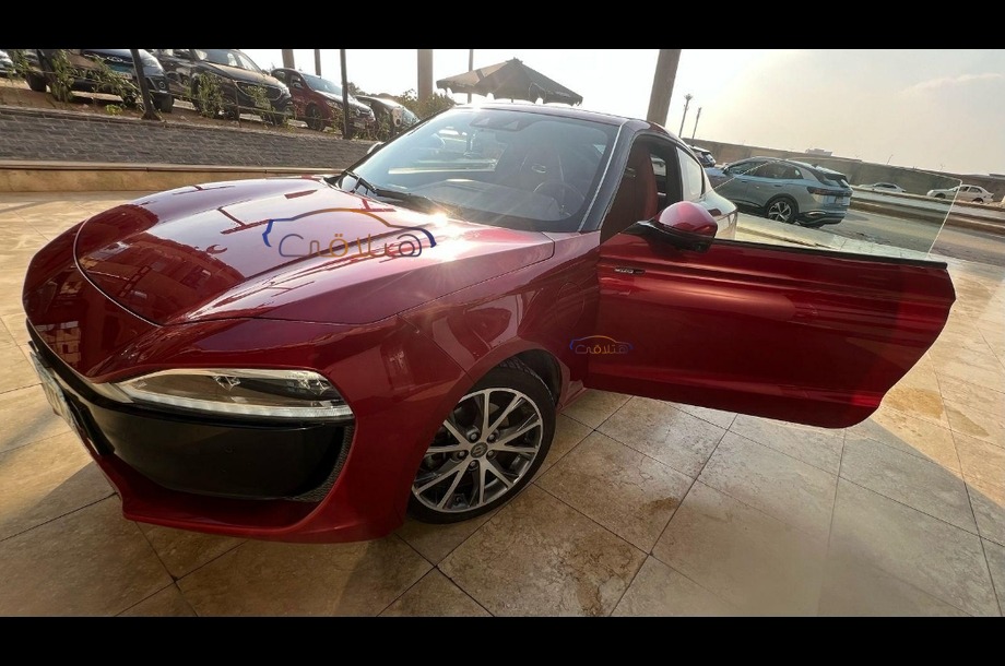 Other Zeekr احمر