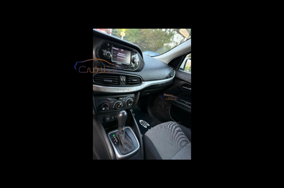 Cooper Mini اخضر غامق