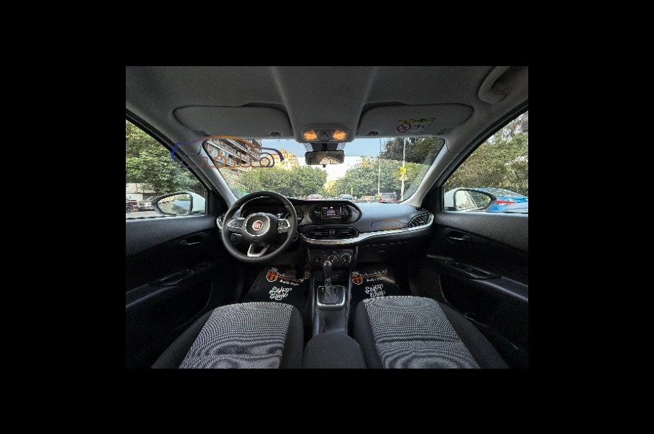 Cooper Mini اخضر غامق