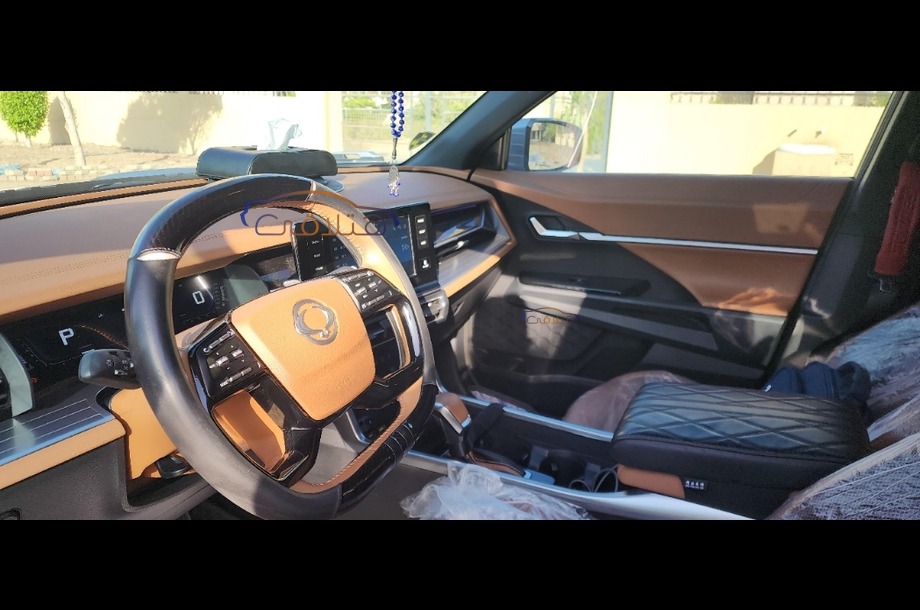 Torres Ssang Yong رمادي