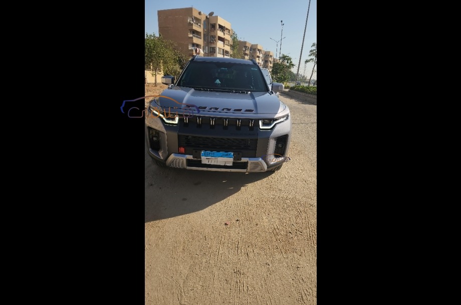 Torres Ssang Yong رمادي