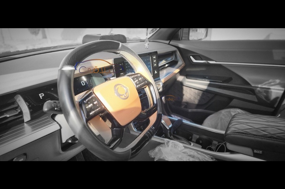 Torres Ssang Yong رمادي