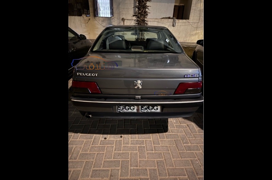 405 Peugeot فضي