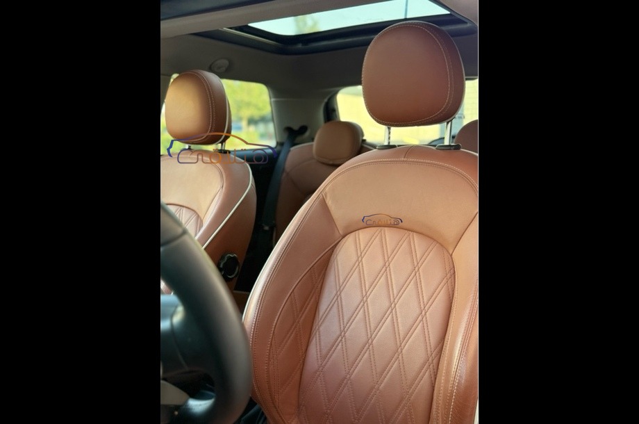 Cooper Mini أخضر