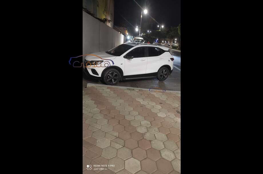 DX3 Soueast أبيض