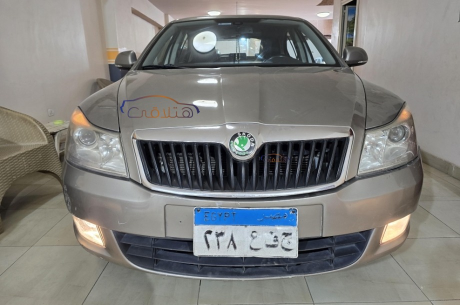Fantasia Skoda Gold