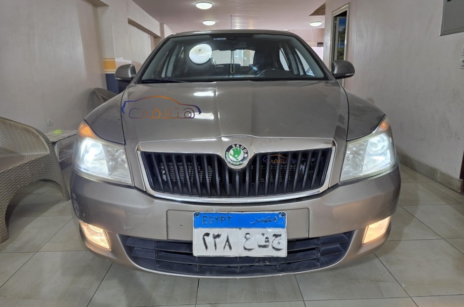 Fantasia Skoda Gold