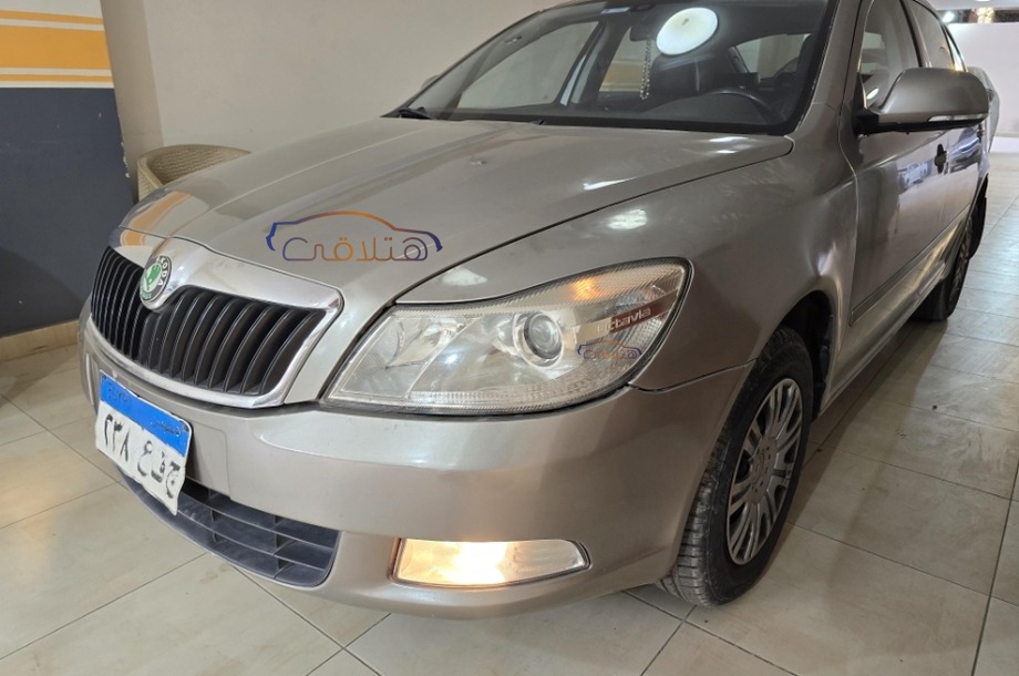Fantasia Skoda Gold