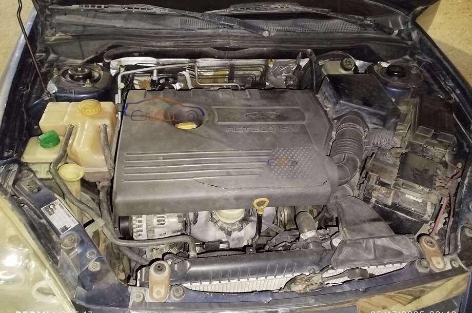 A516 Speranza Dark blue