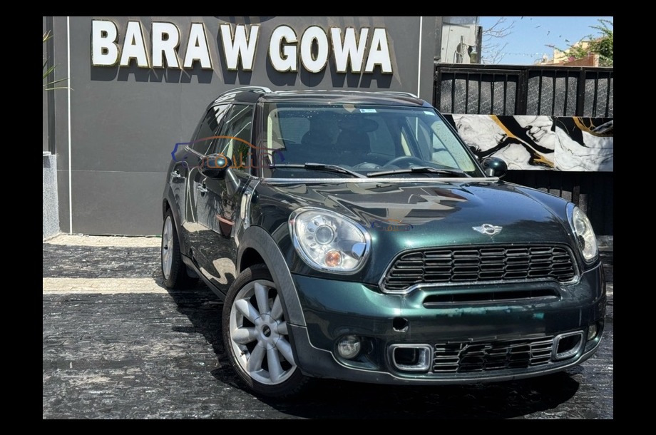Countryman S Mini Green