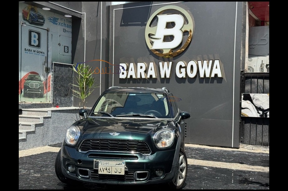 Countryman S Mini Green