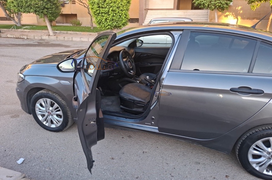 Tipo Fiat Gray