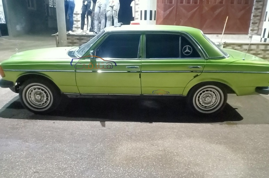 200 Mercedes Green