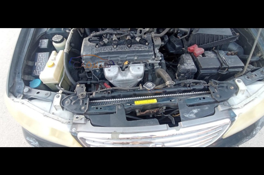 Sunny Nissan أخضر