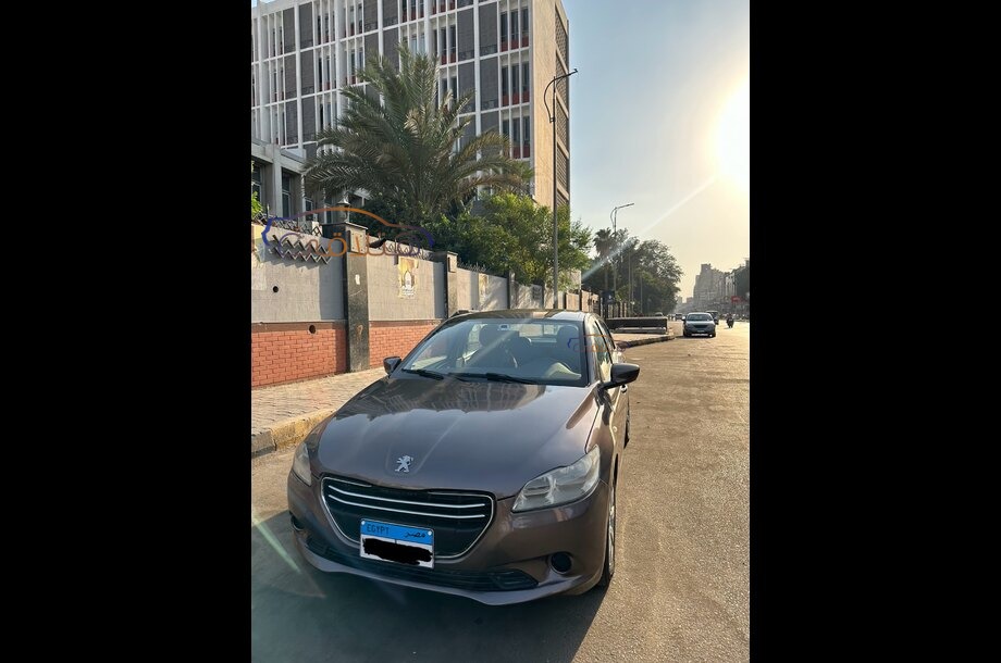 301 Peugeot بني
