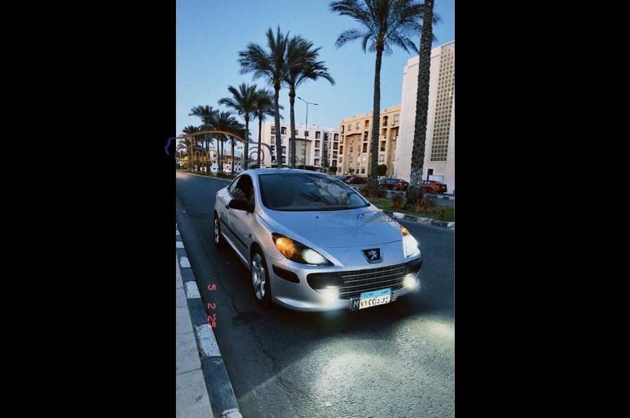 307 Peugeot رمادي