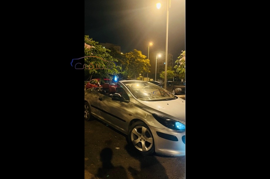 307 Peugeot رمادي