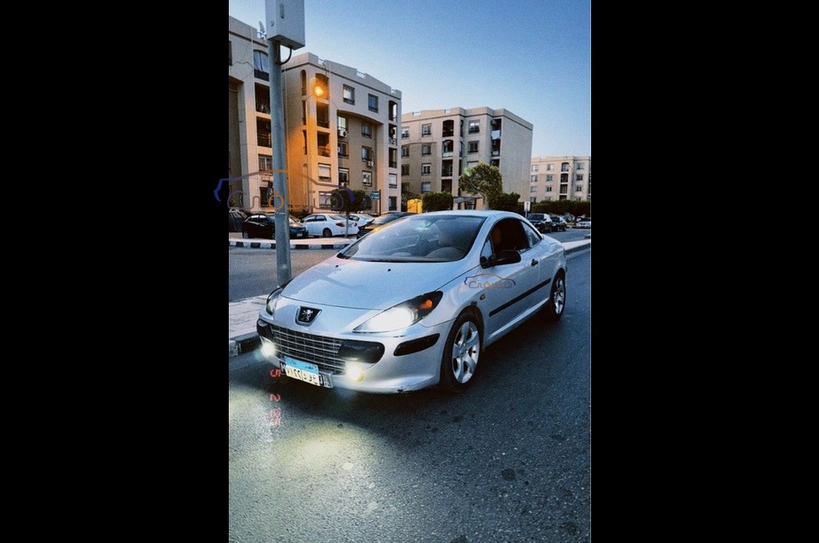 307 Peugeot رمادي
