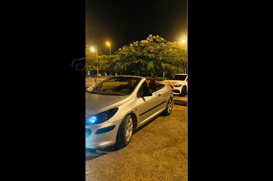 307 Peugeot رمادي