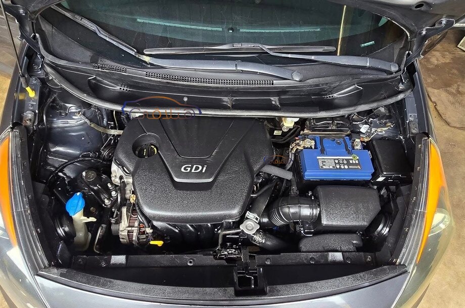 Rio Kia بترولي