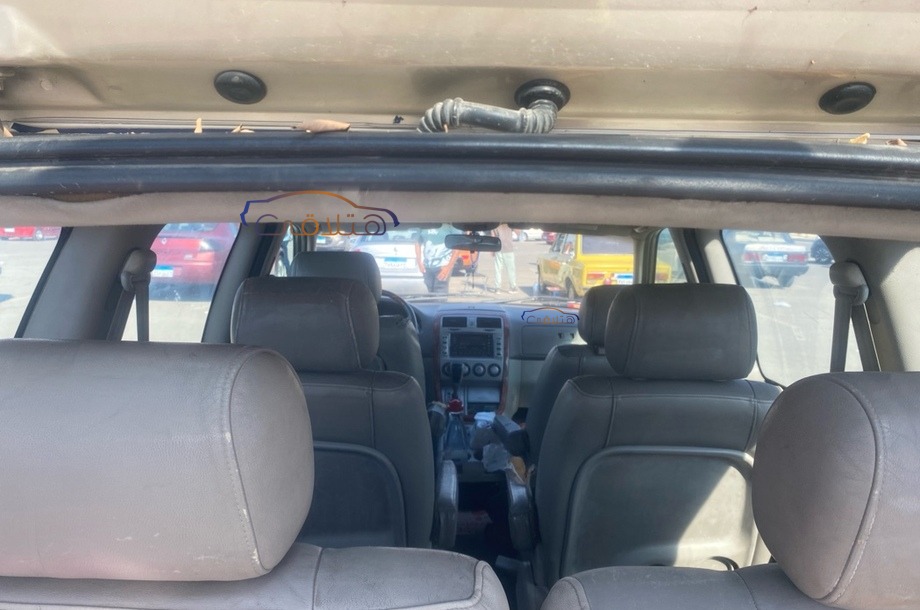 Carnival Kia برونزي