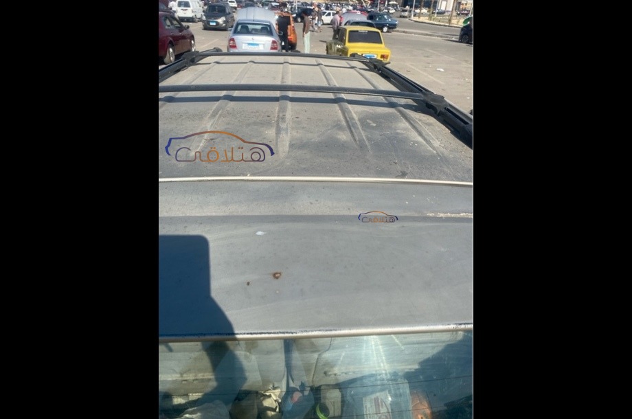 Carnival Kia برونزي