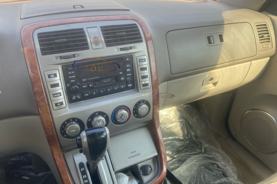 Carnival Kia برونزي