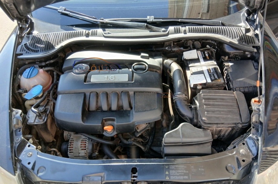 Fantasia Skoda Black