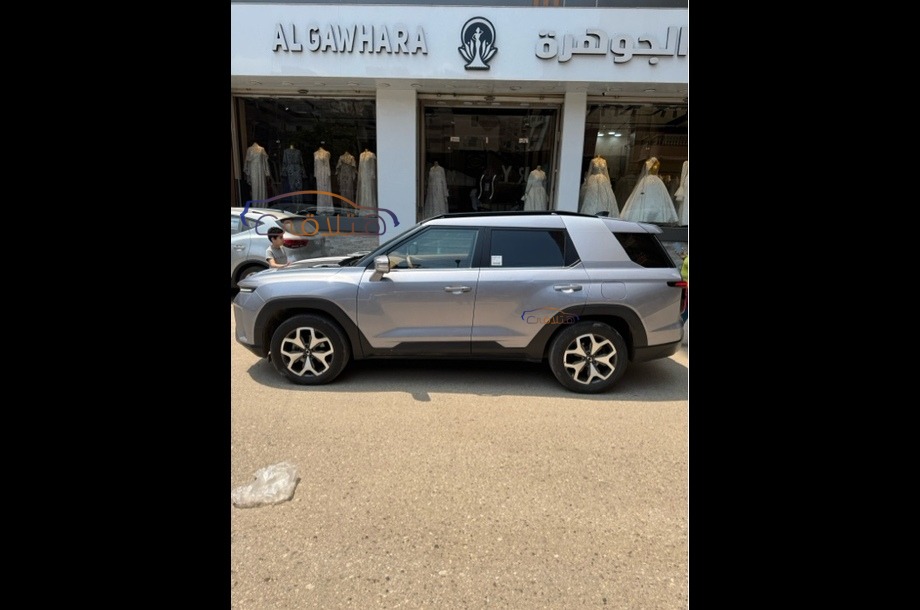 Torres Ssang Yong فضي