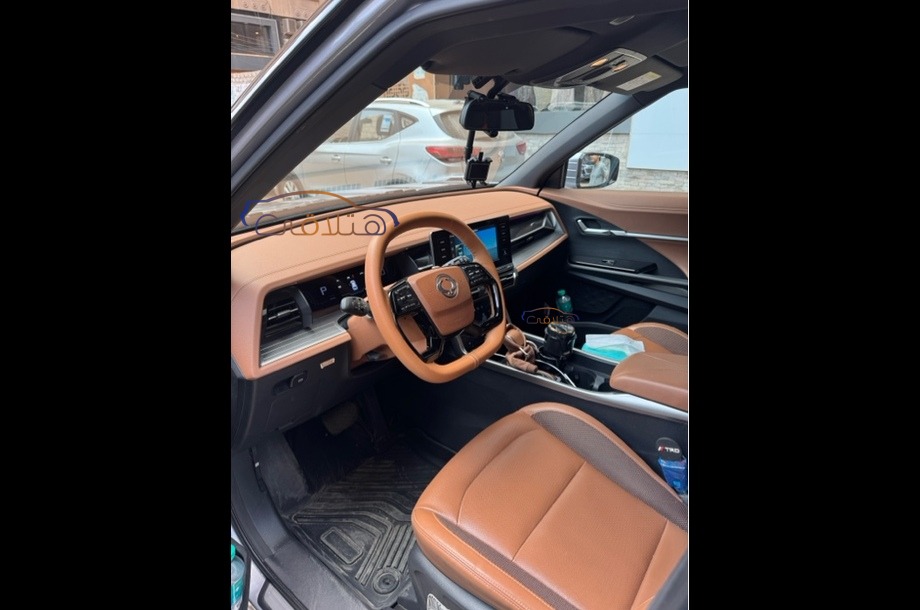 Torres Ssang Yong فضي