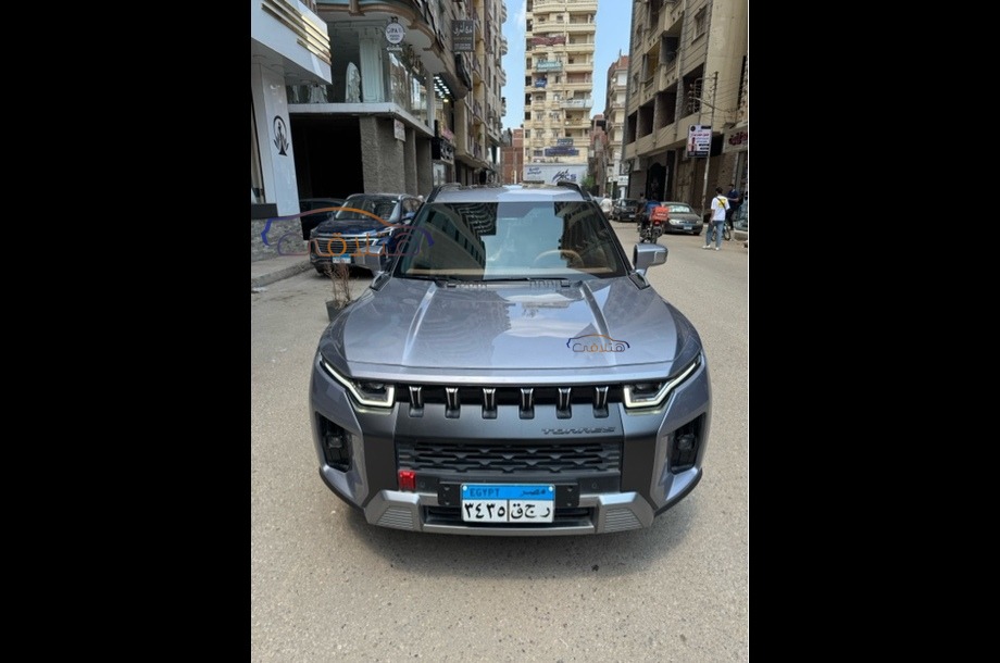 Torres Ssang Yong فضي