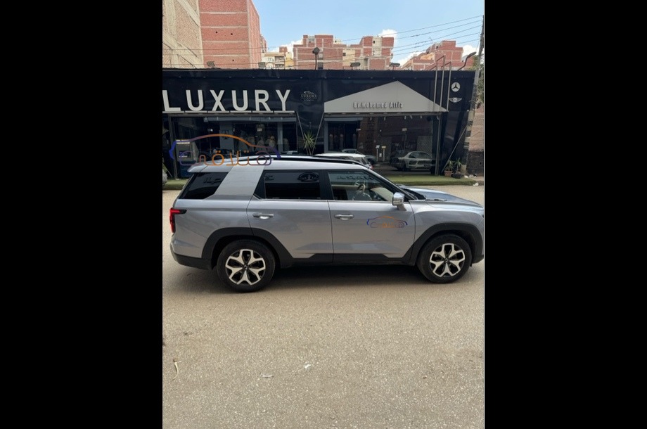 Torres Ssang Yong فضي