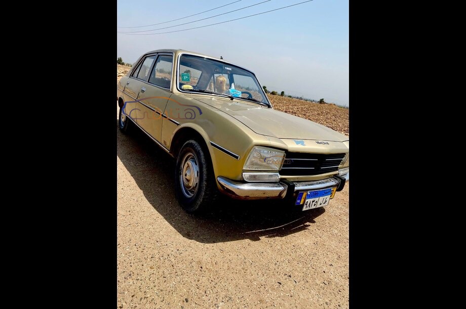 504 Peugeot برونزي