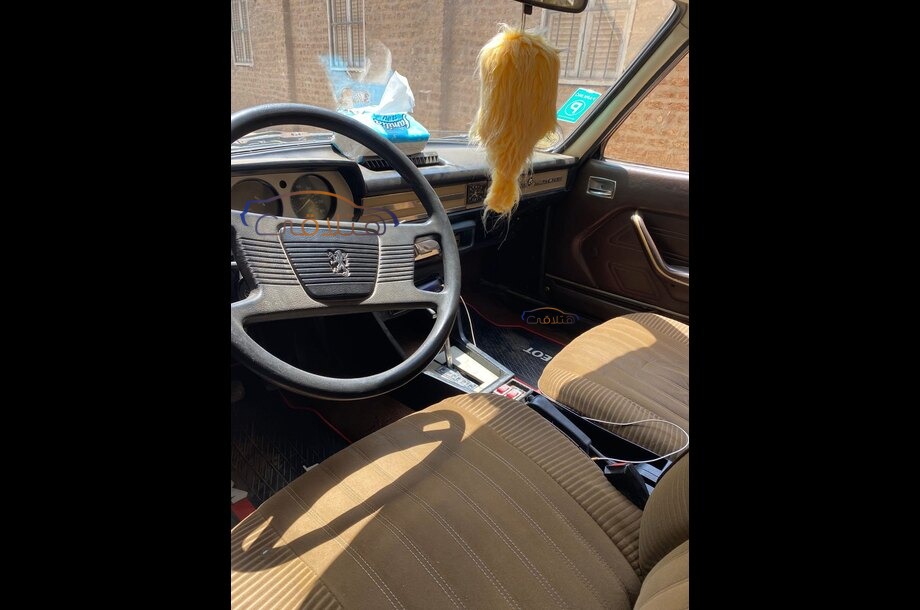 504 Peugeot برونزي