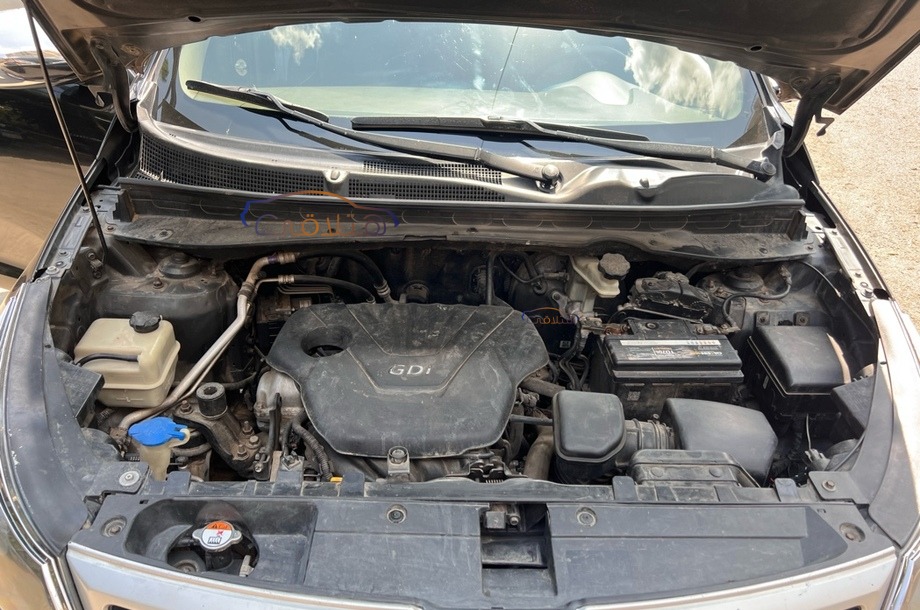 Sportage Kia أسود