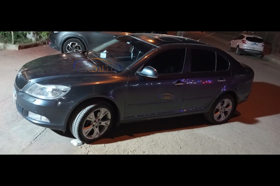 Fantasia Skoda Dark grey