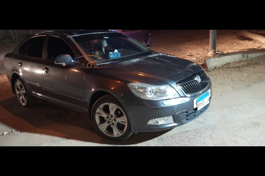 Fantasia Skoda Dark grey