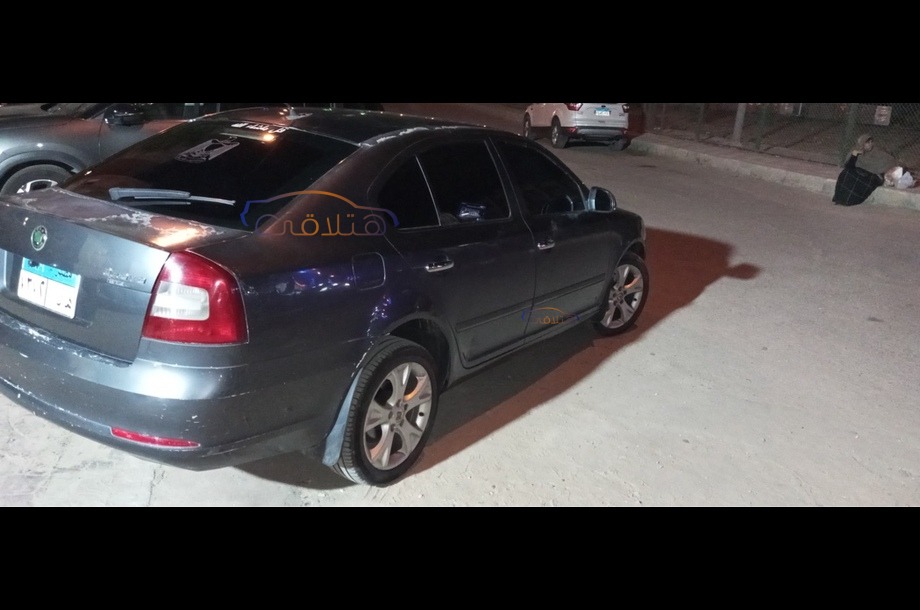 Fantasia Skoda Dark grey