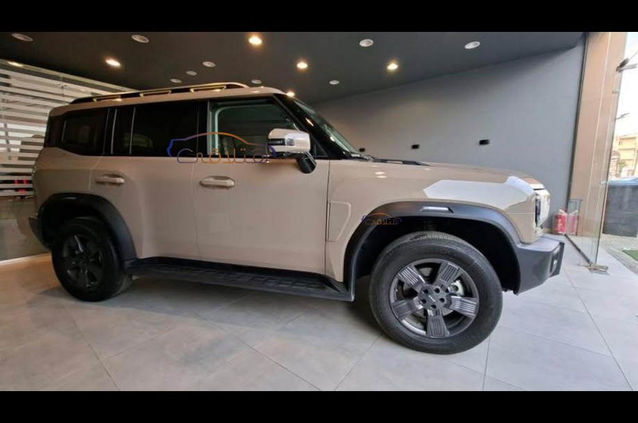 T2 Jetour برونزي