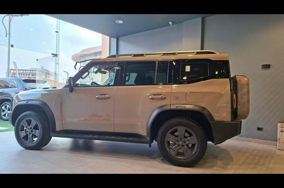 T2 Jetour برونزي