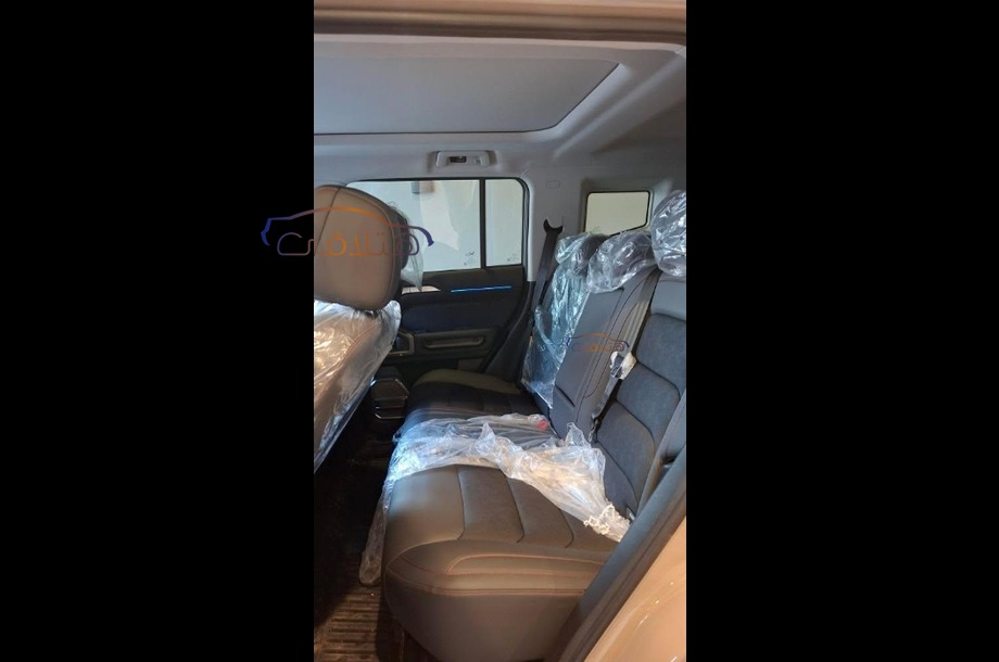 T2 Jetour برونزي