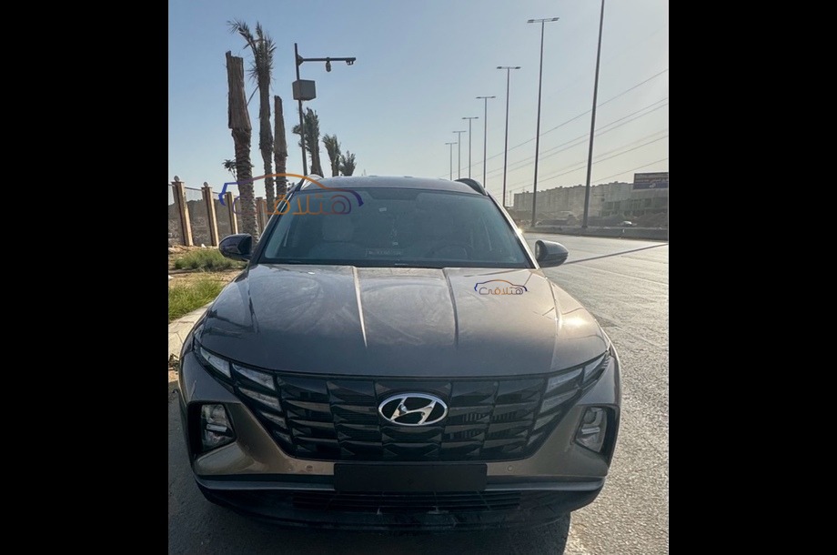 Tucson Hyundai Bronze
