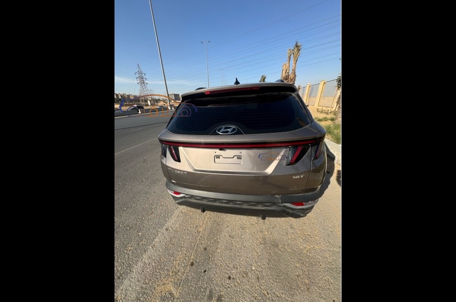 Tucson Hyundai Bronze