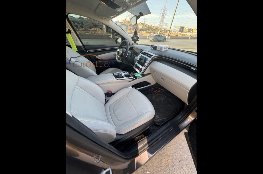 Tucson Hyundai Bronze