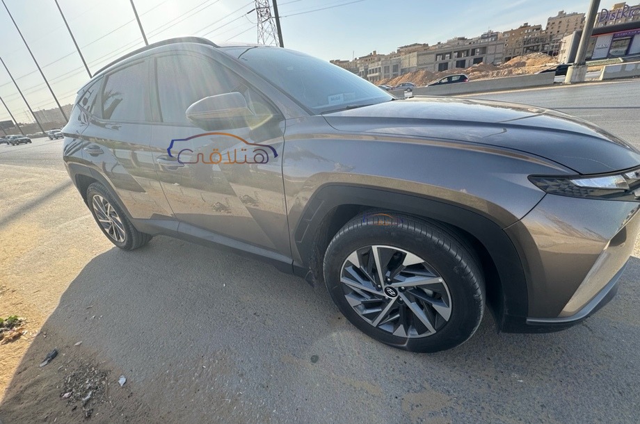 Tucson Hyundai Bronze